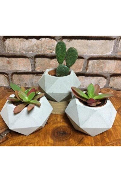 decolight 3lü Beton Ham Boyasız Kaktüs Sukukent Saksısı