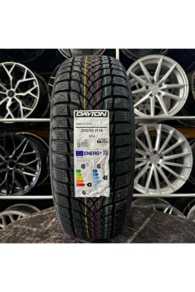 Dayton 205/55 R16 91H Dayton DW510 Evo Kışlık Lastik 2024 Üretim