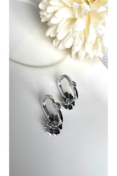 JustGAF Silver/silver Color Zircon Stone Migrant Earrings