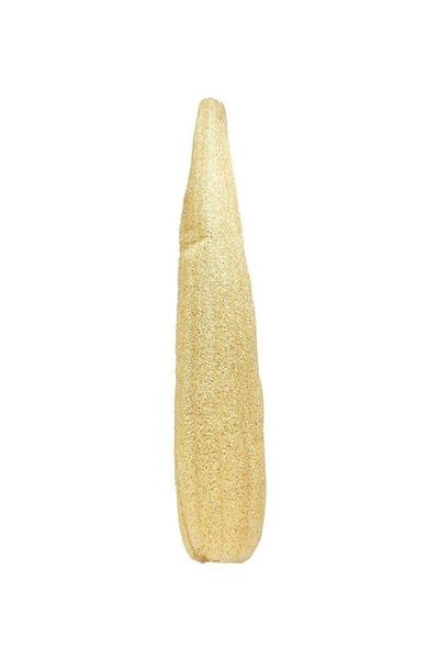 ÇİDEM'S Pouch Bath Pouch Pumpkin Loofah 60 - 70 Cm Raw Pumpkin Fiber Unprocessed Loofah Pumpkin