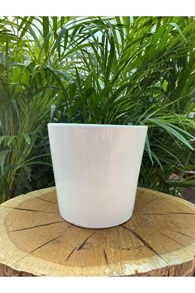 Taha Çiçekcilik Seramik Saksı - Orkide Saksısı 12cm- Çiçek Saksısı