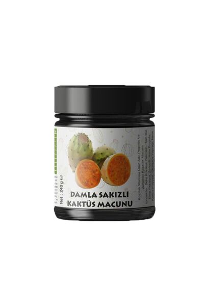 dsy doğal sağlıklı yaşam Damla Sakızlı Kaktüs Macunu