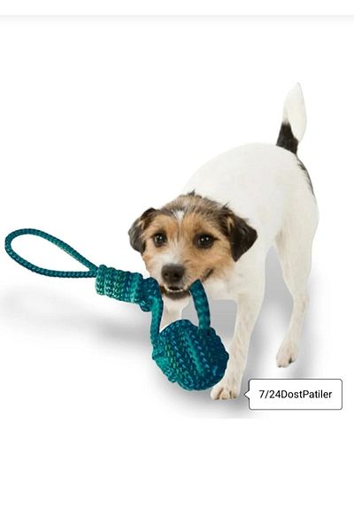 724 AVM Set of Four Dog Toys with Biting, Scratching and Catching