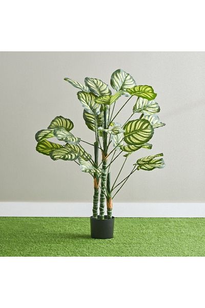 Home Box Teodora Artificial Calathea Tree - 105 cm