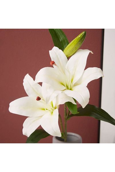 Home Box Lida Lily Flower Bunch - 69 cm