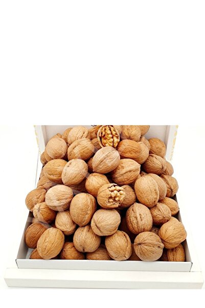 GEDEMENLİ KAHRAMANMARAŞ KABUKLU CEVİZ (MARAŞ 18) 5 KG