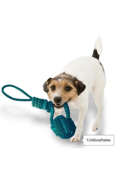 724 AVM Double Play Set Dog Dental Floss Biting Pull Toy 2 Pack Macrame Rope Large Size