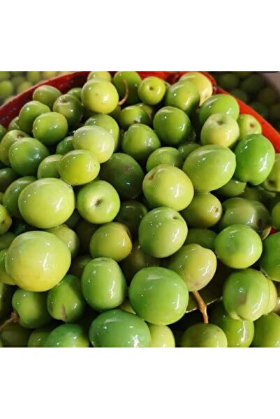 Hatay'ın Lezzet Durağı Tatlandırılmış Halhalı Zeytin (Çerezlik) 1.5 kg