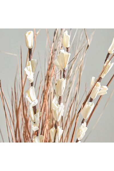 Home Box Miley Natural Dry Stick - 100 cm