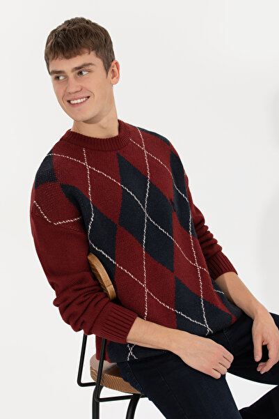 U.S. Polo Assn. Чоловічий светр з коміром-стійкою та візерунком «вишня» 50256191-VR223