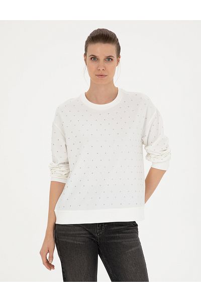 Pierre Cardin سويت شيرت إكرو مريح 50283401 -VR019
