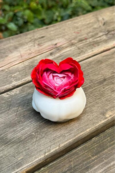 rufus concept Kaktüs 8 Silikon Mum Kalıbı