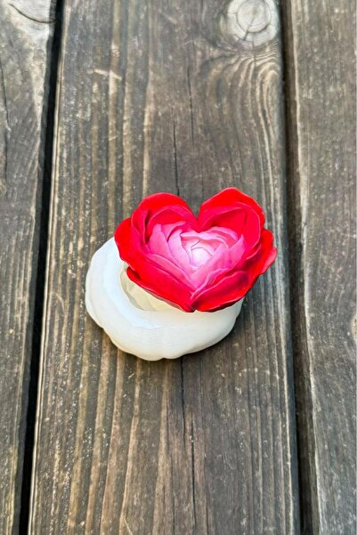 rufus concept Kaktüs 8 Silikon Mum Kalıbı