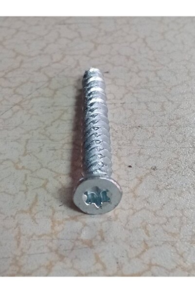 Diril Yapı Market 8 CM.LİK-BULDEX-BULDEKS-PANPEN-VİDA-(30 ADET)