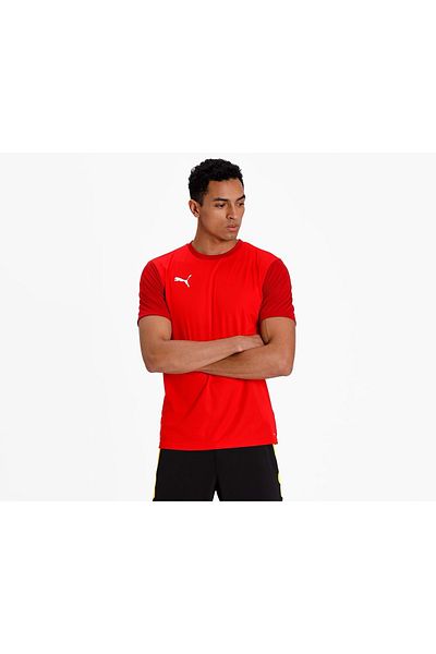 Puma 656484   Teamgoal 23 Sideline T-shirt Ανδρικό μπλουζάκι Dry-cell Κόκκινο