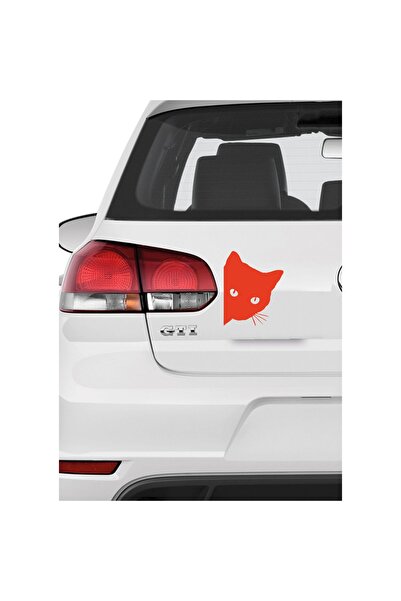 Şimdi Trend 20X16 cm Cat Auto Sticker - Black Cat Glass Lettering