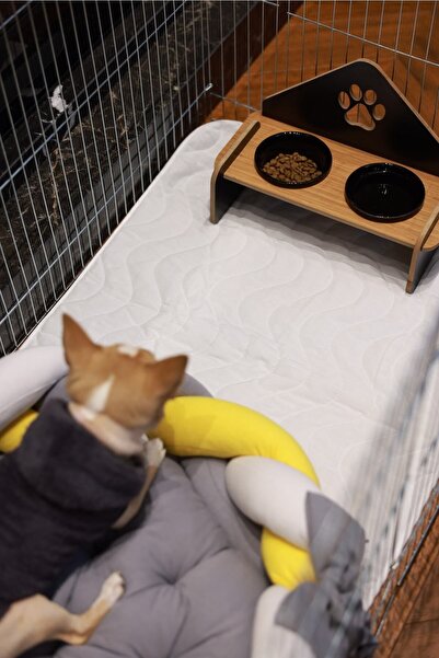 Riobongo | Yıkanabilir Köpek Çiş Pedi | Su Geçirmez | Köpek Tuvalet Eğitimi | Boyut 60 X 90 Cm