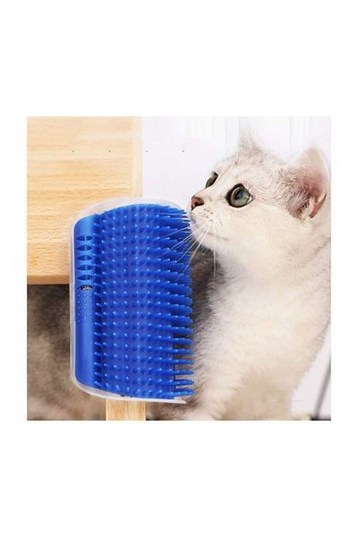 Jetcom Cat Dog Itching Apparatus - Cat It with Catnip, Can Be Mounted on the Wall Table