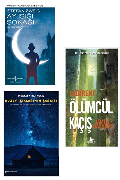 TÜRKİYE İŞ BANKASI KÜLTÜR YAYINLARI Labirent : Ölümcül Kaçış + Ay Işığı Sokağ...