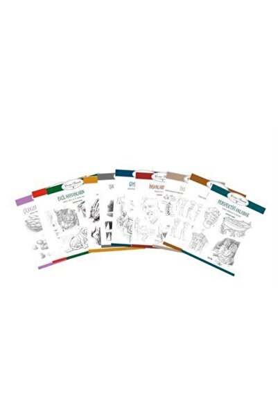 Beta Yayınları Çizim Sanatı Serisi Seti (10 Kitap)