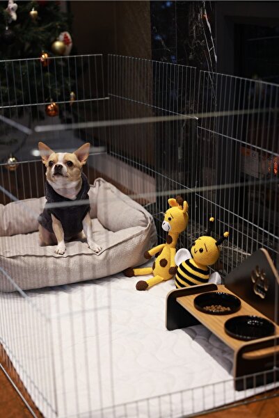 Riobongo | Yıkanabilir Köpek Çiş Pedi | Su Geçirmez | Köpek Tuvalet Eğitimi |...