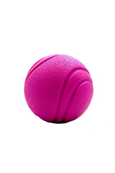 Tasma Market 7.6cm Mor Yumuşak Dokulu Köpek Oyun Topu Xl