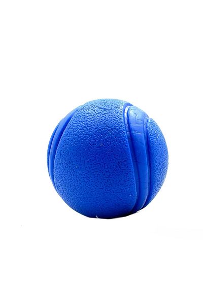 Tasma Market 7.6cm Blue Soft Textured Dog Play Ball XL