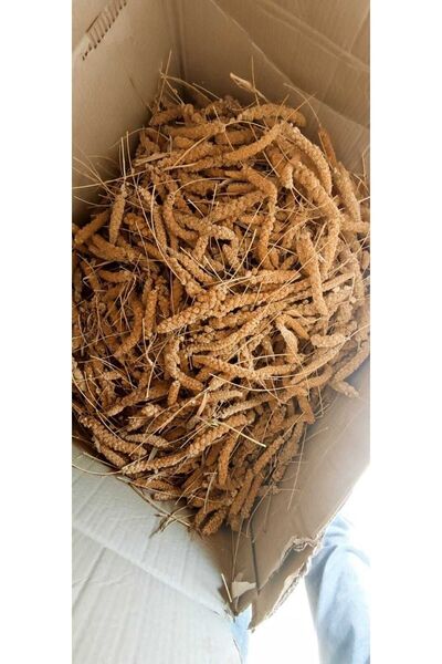 Genel Markalar Parmak Boy Kızıl Dal Darı (1000 GR.) 1 Kg.