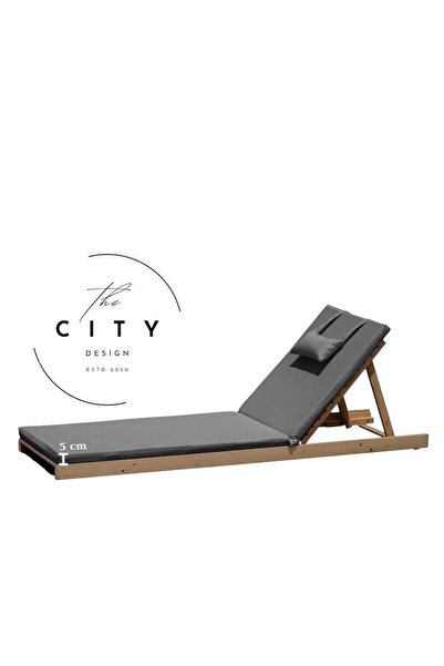 petspati Pernă pentru șezlong Rual, antracit, cu fermoar, 60x180x5cm, pliabilă