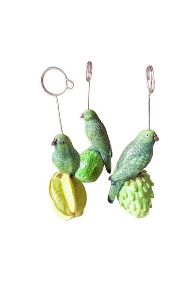Cemile 3-Piece Desktop Parrot Note Holder Cardholder