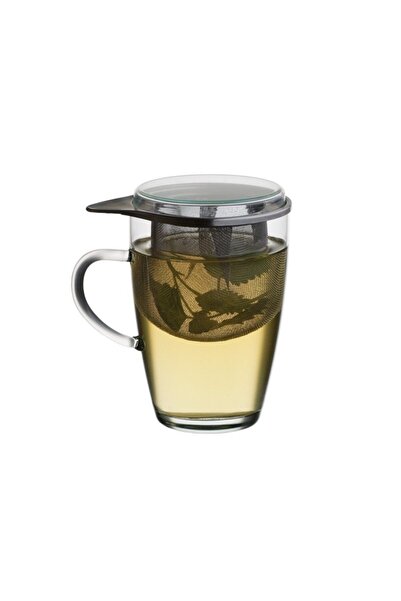 Simax شاي زجاجي رفيع مع مصفاة ممتعة سعة 0.35 لتر - ساخن وبارد، قطعة واحدة