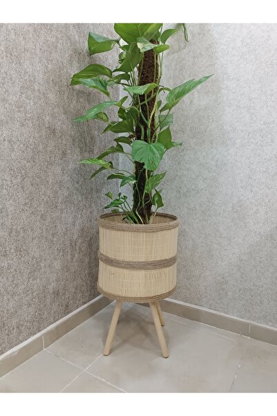 BLACK PEARL Bambu Saksı Ahşap Saksı Büyük Boy 30 Cm Genişlik