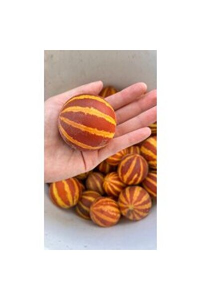 BereketliBahçem Şemame Kokulu Süs Kavun Tohumu (15 adet)