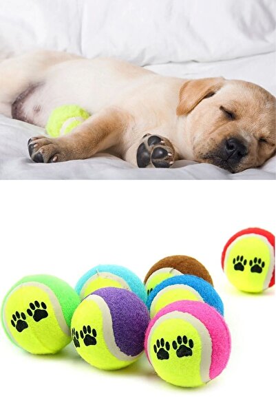 mywarehouse 3'lü Renkli Desenli Tenis Topu Kedi Köpek Oyuncağı