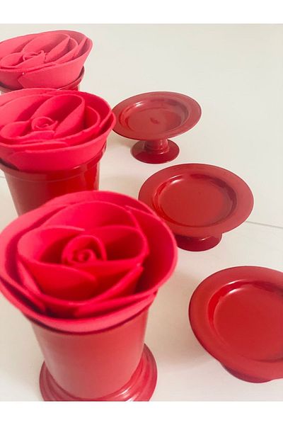 Elzem RED COLOR ROSE BUCKET AND PASTA SET 3 PIECES