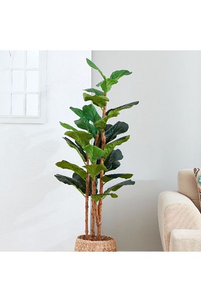 Home Box Teodora Fiddle Tree - 150 cm