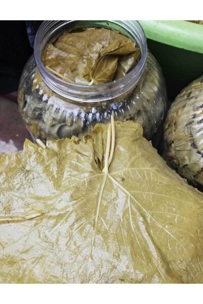 Tokat Salamura Asma Yaprağı 5 Kg (INCE VE DAMARSIZ) Yeni Mahsül