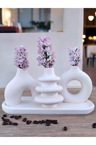 BSG HOME Set de vaze decorative cu tavă ovală – Set de vaze cu accesorii minime cu design special