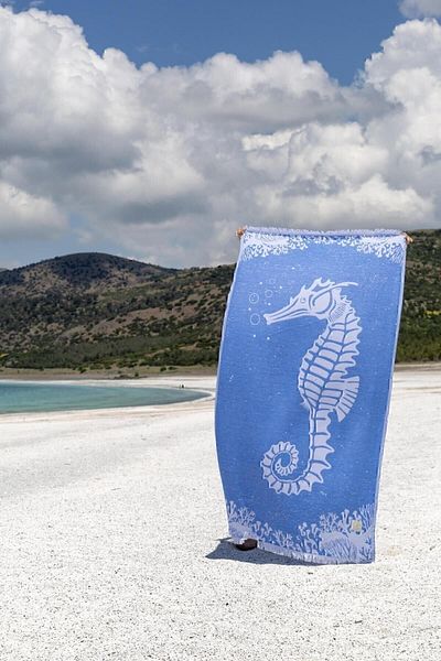İrya Oscar 100% bumbac Peshtemal Blue 90x170