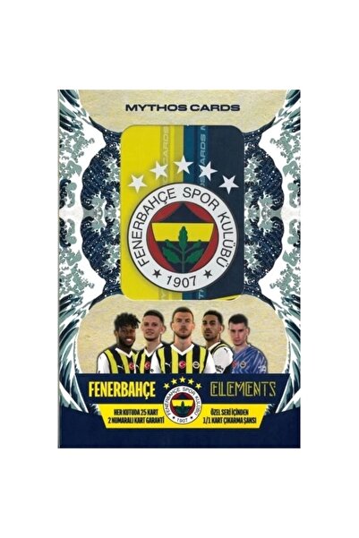 Fenerbahçe FENERBAHÇE ELEMENTS METAL KUTU