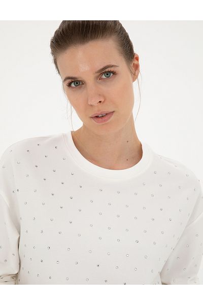Pierre Cardin سويت شيرت إكرو مريح 50283401 -VR019