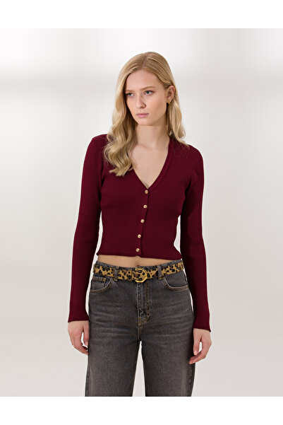 Pierre Cardin Burgundy Ex. Slim Fit Cardigan 50259941-VR014