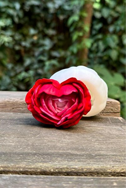 rufus concept Kaktüs 8 Silikon Mum Kalıbı