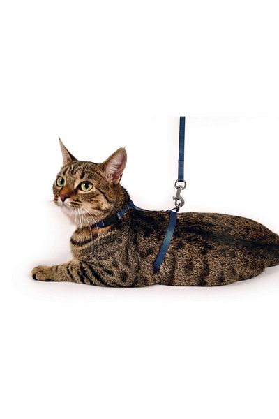Karlie Cat Collar Blue 110 Dpmah