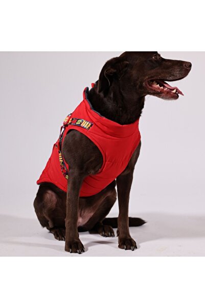 Genel Markalar , Göğüs Tasmalı, Köpek Montu, Köpek Yağmurluğu Kırmızı, Kırmızı Köpek Yağmurluğu