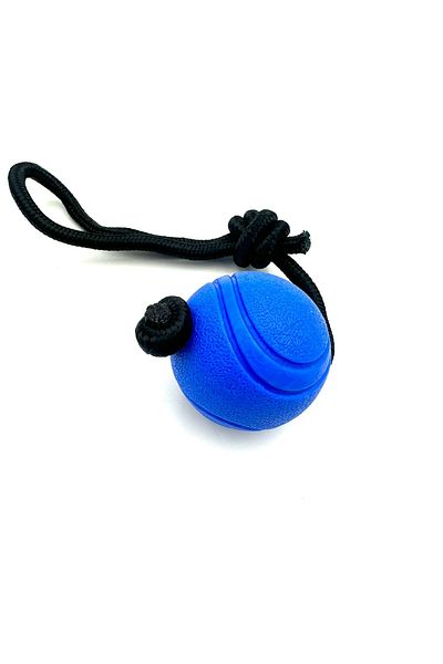 Tasma Market Soft Textured Blue Dog Training Ball - Rope Toy