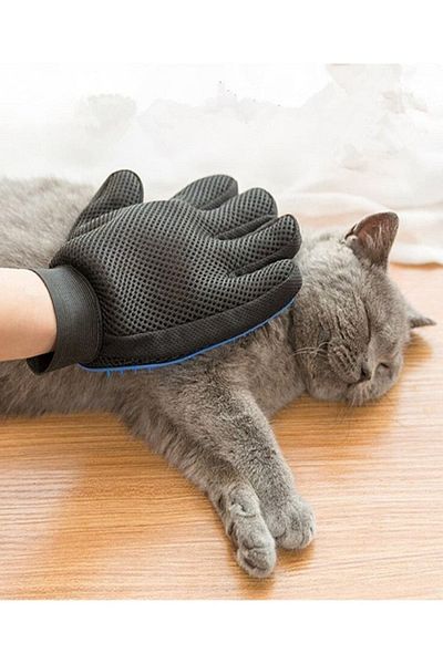 NCT Cat and Dog Hair Collection Glove