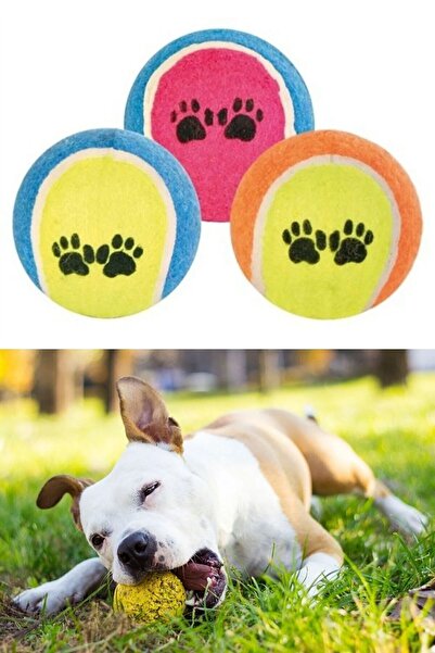 mywarehouse 3'lü Renkli Desenli Tenis Topu Kedi Köpek Oyuncağı
