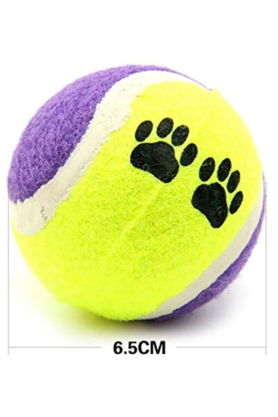 mywarehouse 3'lü Renkli Desenli Tenis Topu Kedi Köpek Oyuncağı