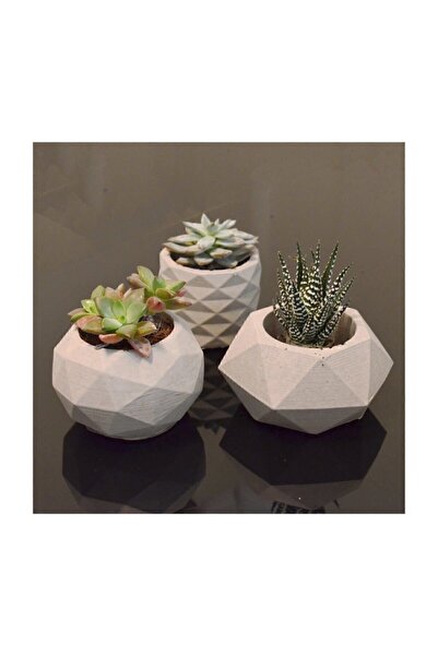 Genel Markalar Talya Art Design 3'lü, Beton Sukulent Veya Kaktüs Saksı, Mumlu...